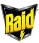 raid
